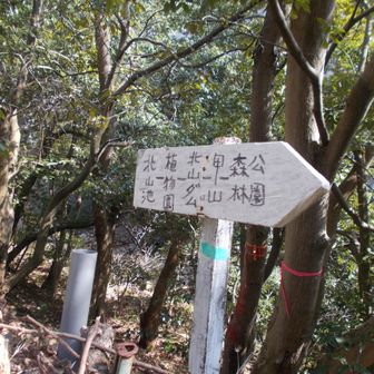 北山緑化公園の銀水橋側にある森林公園への案内図。モデルコースの一つやな。