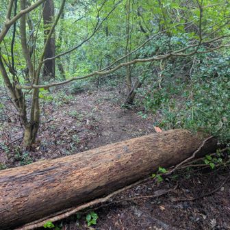ここから跨ぎ少し逸れてまた戻りますが
跨いだ後の道少し滑ったりしそうなので
お気を付けて。
