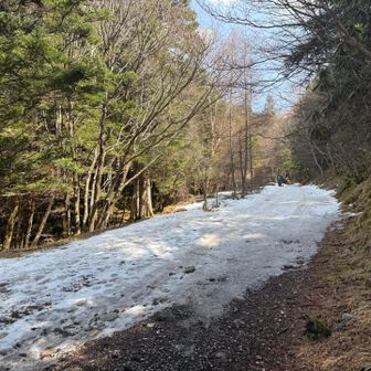 美濃戸山荘を過ぎたあたりから日陰に残雪。ツルッツルヽ(；▽；)ノ
