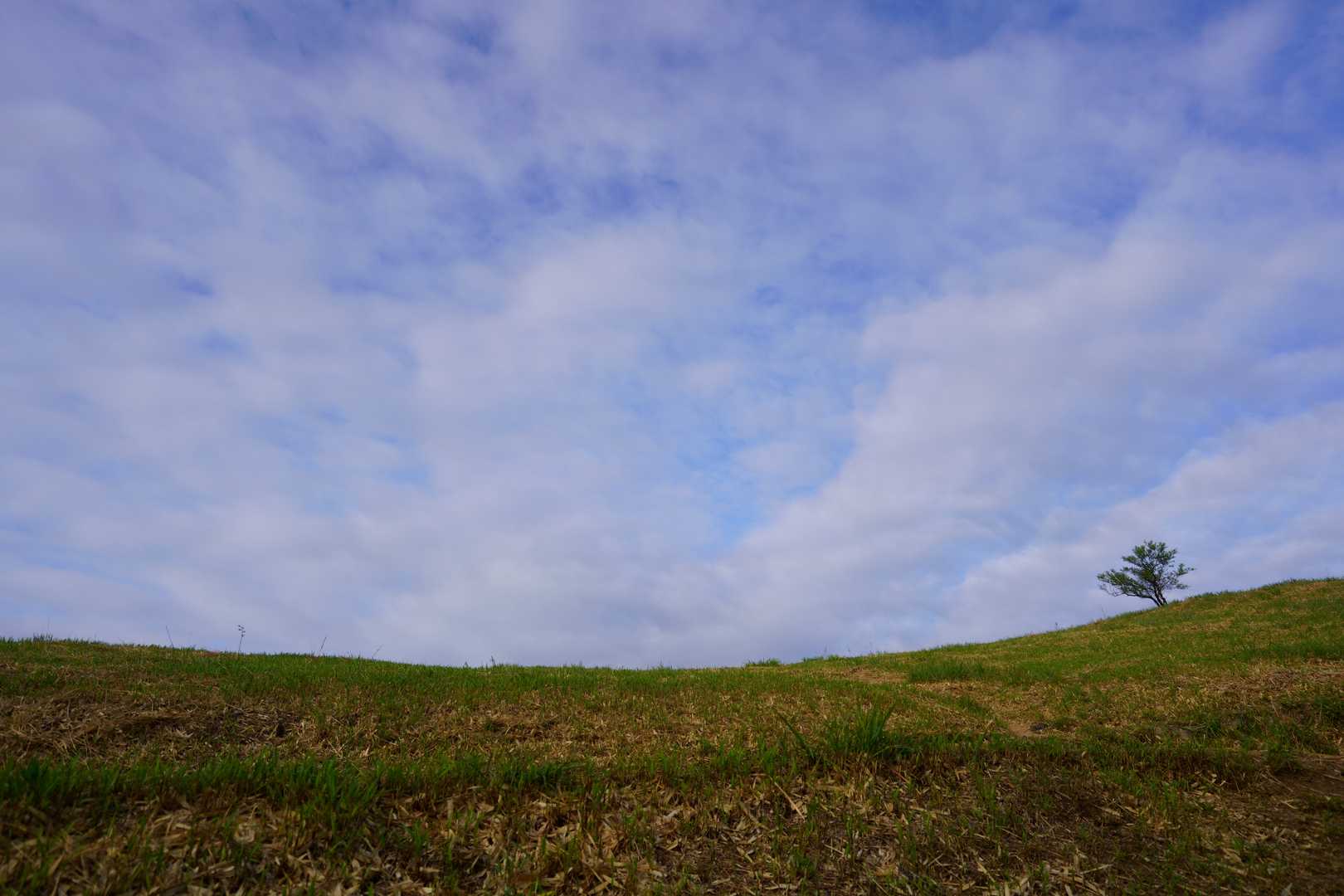 山頂広場　少し青空が😊