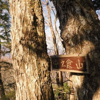 中ノ倉山、山頂