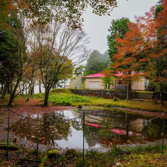 池あるしほぼ三嶺やろ()
