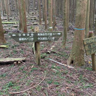 右側へ。