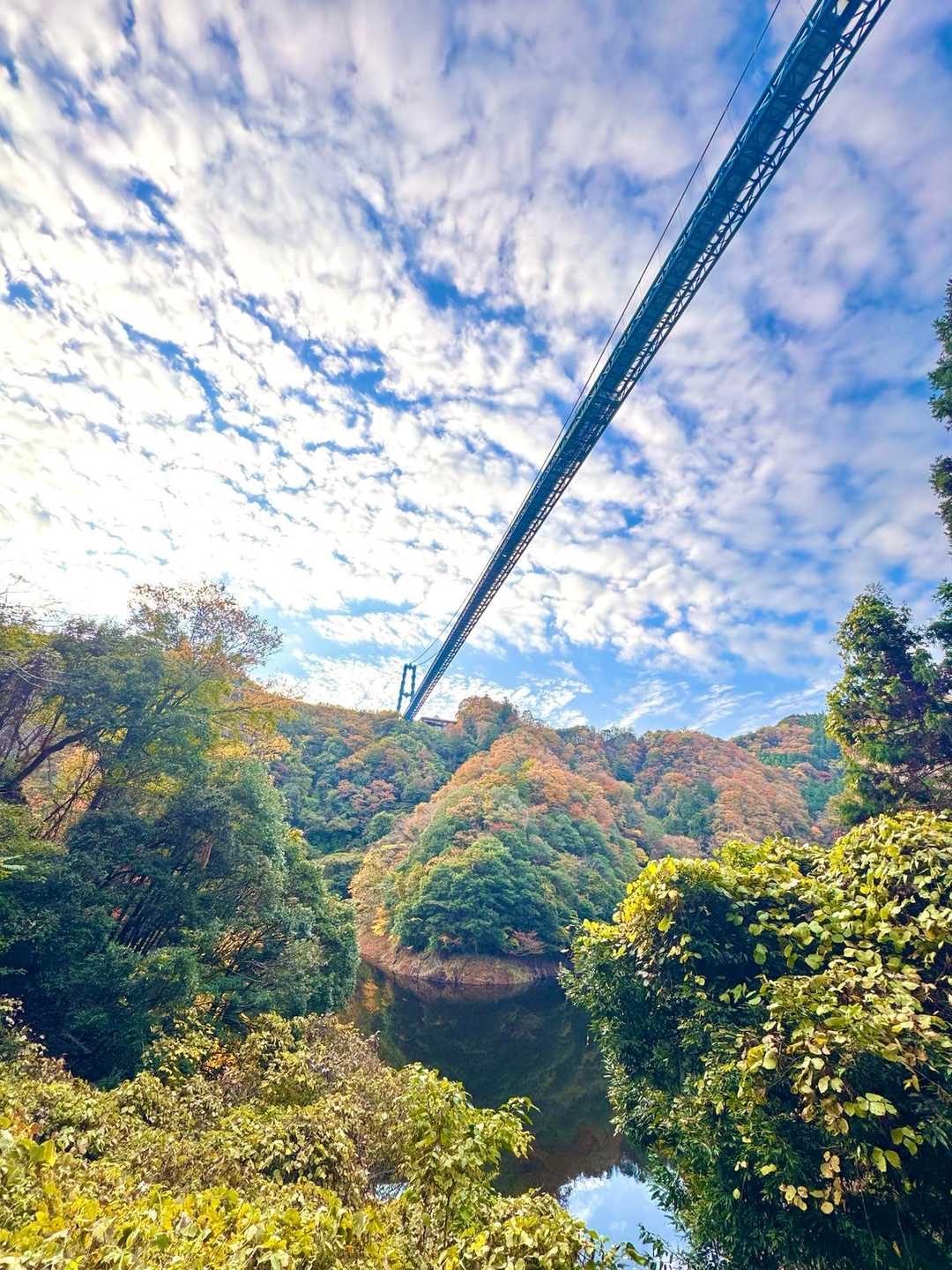 ダムから見上げる竜神大吊橋
ダム周りの紅葉も👍