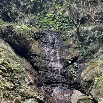 岩屋の滝
前から、そんな名前があったんやろか
確か25mの滝ともいわれてたようなー。
水量は…、チョロチョロ