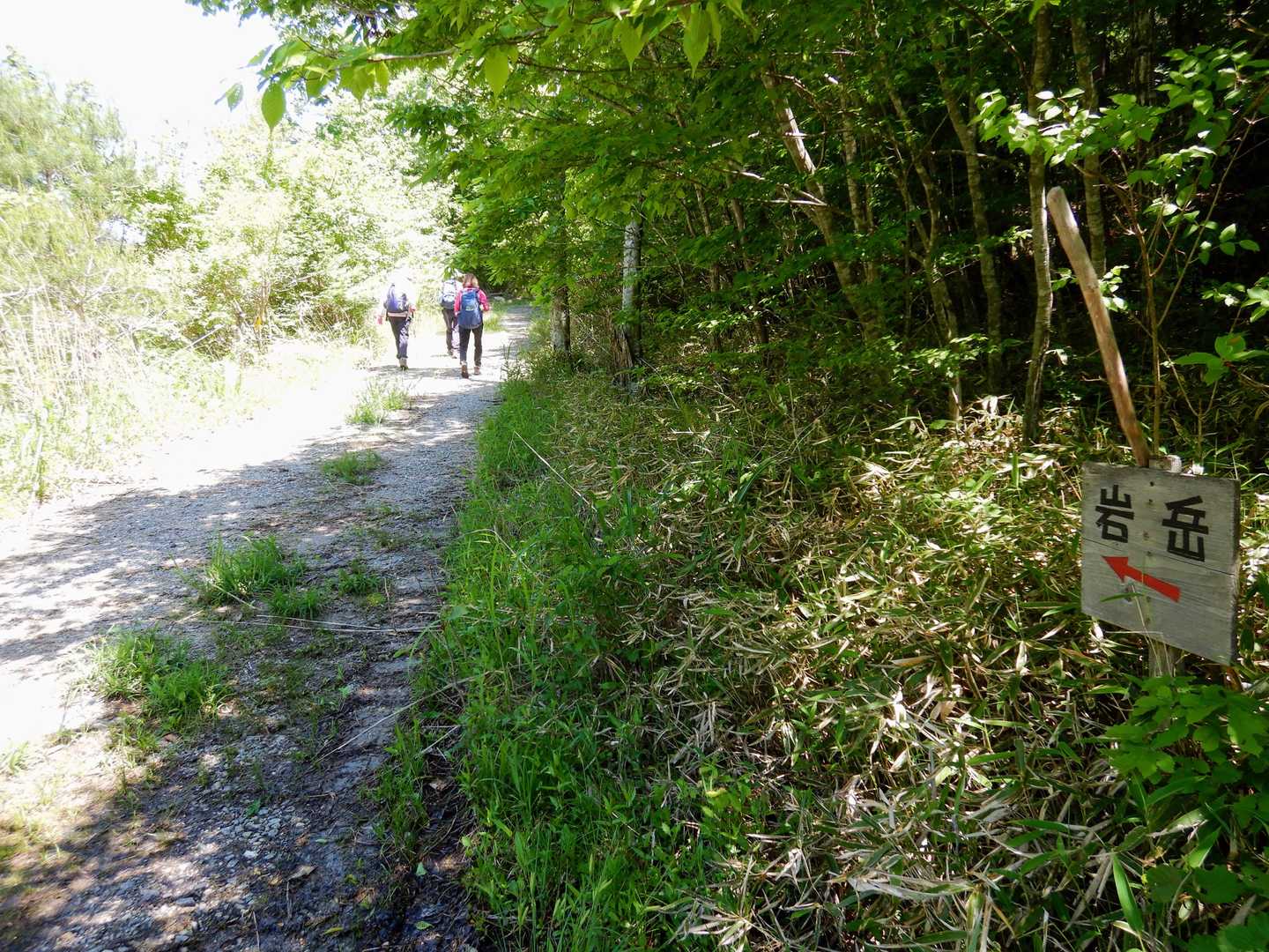 広域農道から林道に入ります。