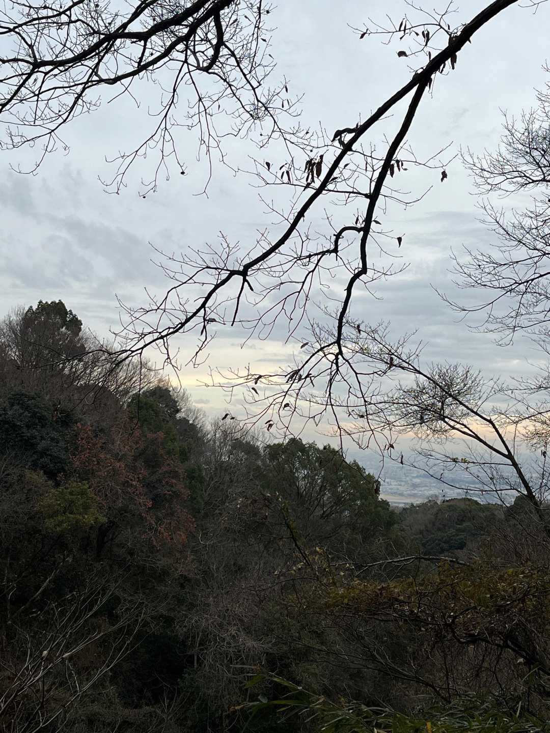写りが悪すぎてがっかり
