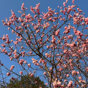 耳成山登山口近くに、公園がありました