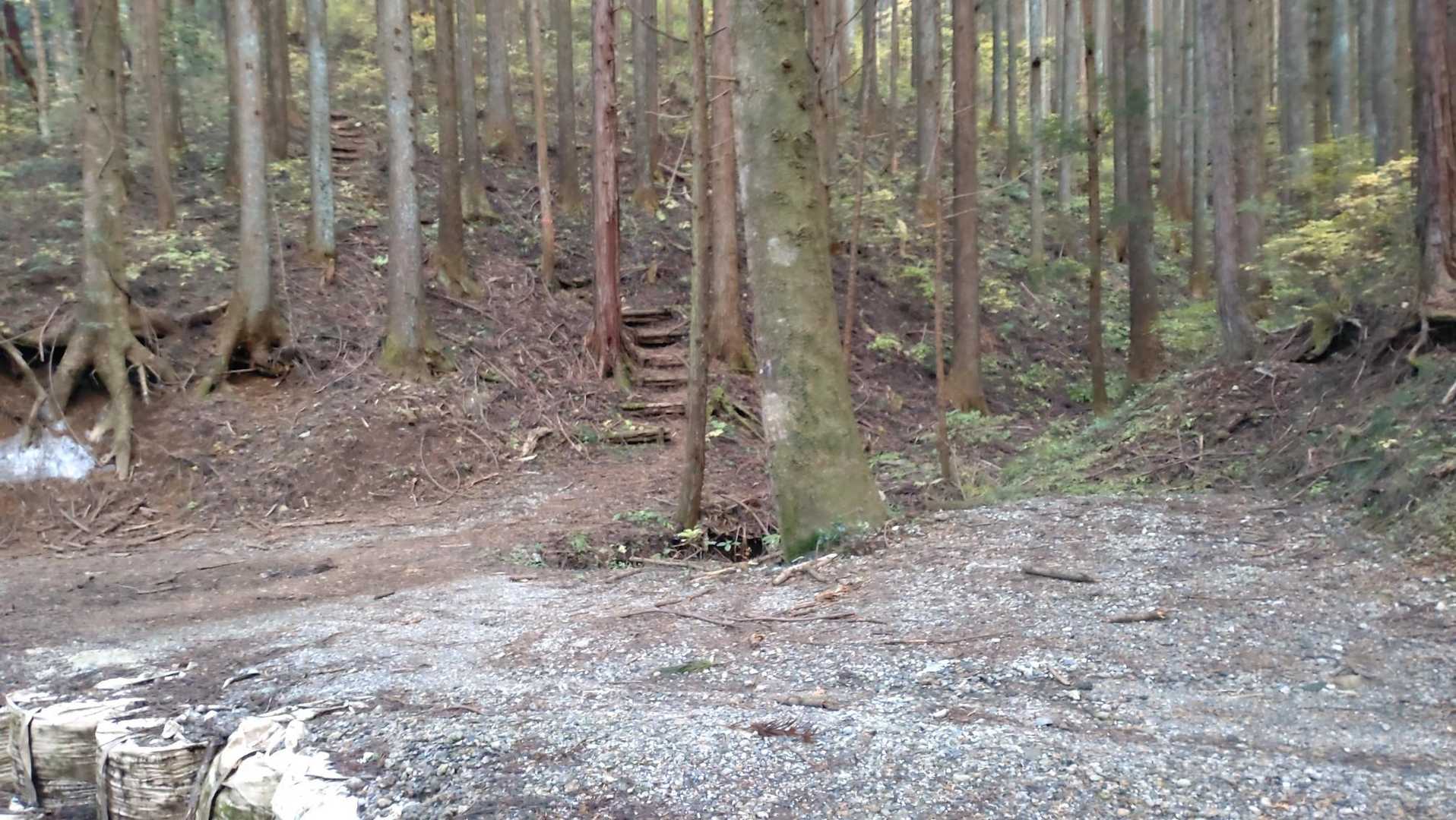 林道へ戻ってきました🥾