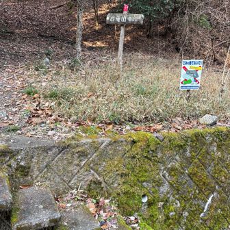 いったん、
舗装道路へおりてここから入山