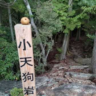 こちらから見る眺望は素晴らしい