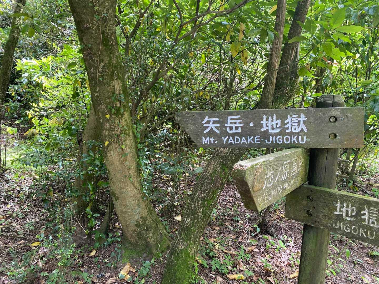 登山口
地獄はこちら😱笑