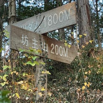 最後のピーク
坊主山