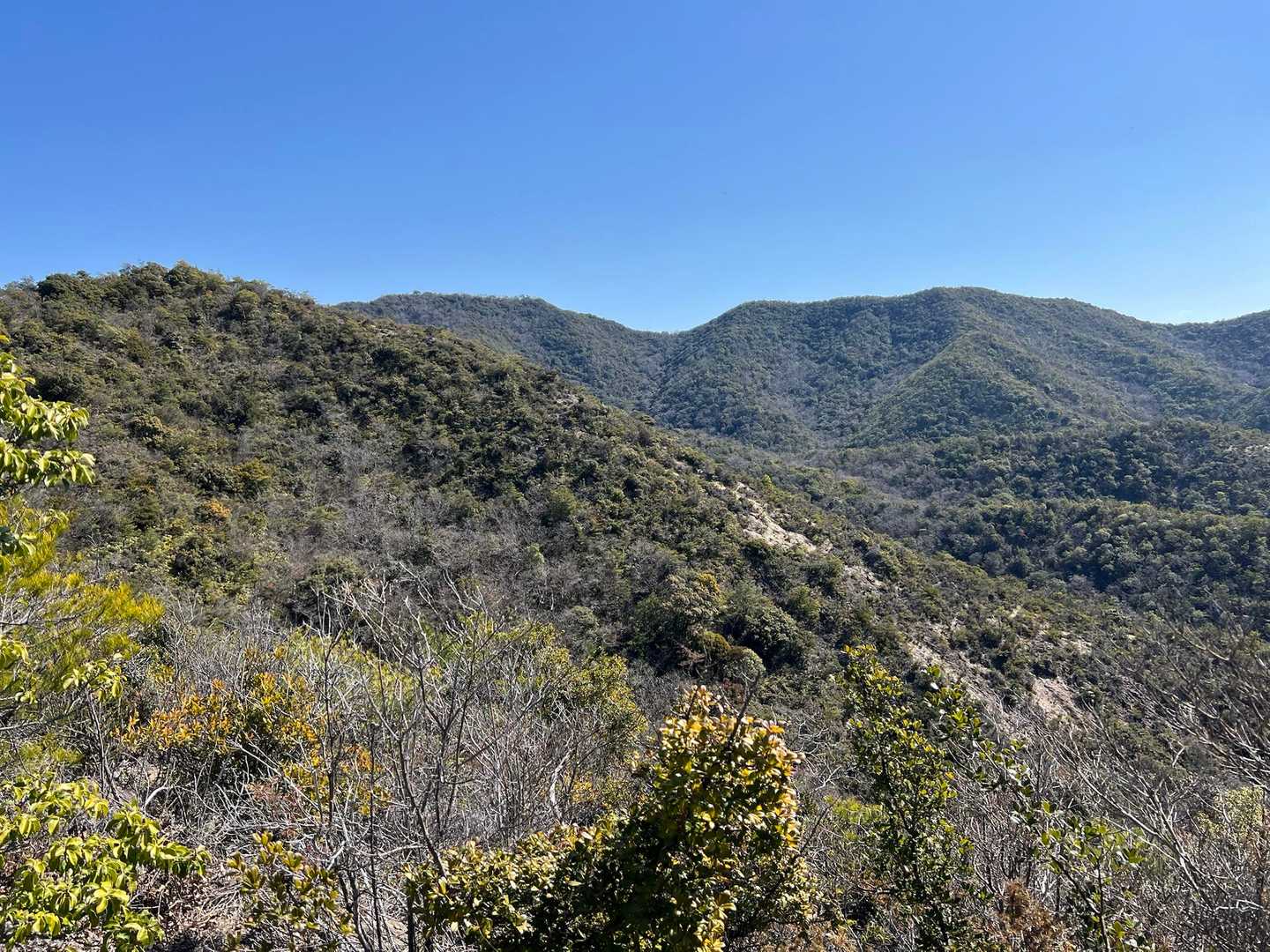 山頂が見えて来ました