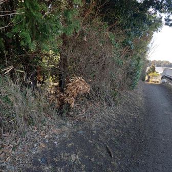 ここで左に入ります。
ためらわずに突入！
（入ったらすぐ右方向です）