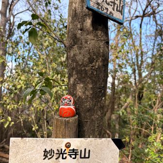 だるまさんおる