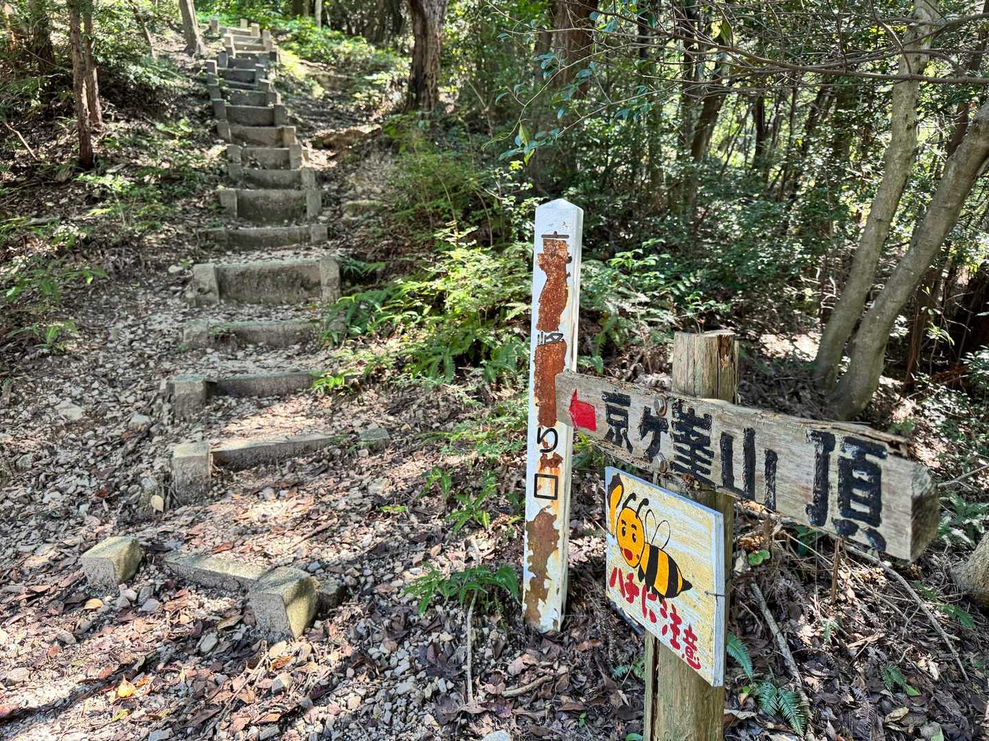 ここから登山道&参道