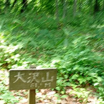 ここも山頂