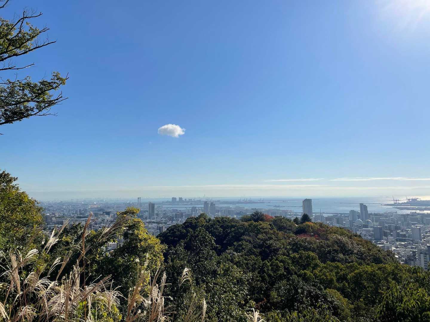 UFO🛸みたいな雲
