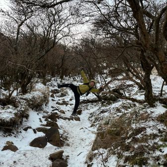 雪ははしゃぐよな🤣