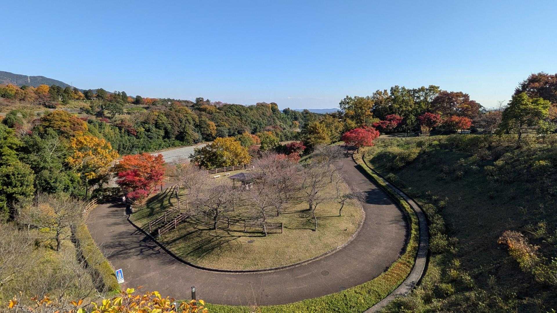 ヤビツ峠-三ノ塔-大倉バス停 縦走コースの写真