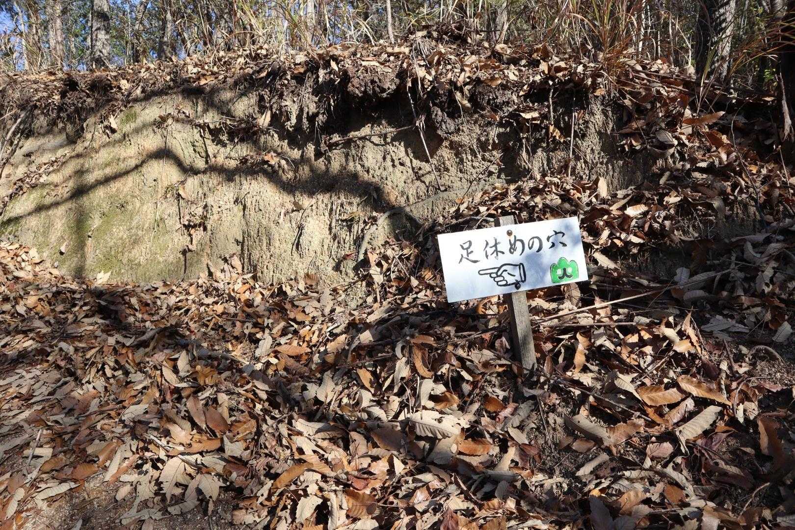 火山登山道入口-火山 往復コースの写真