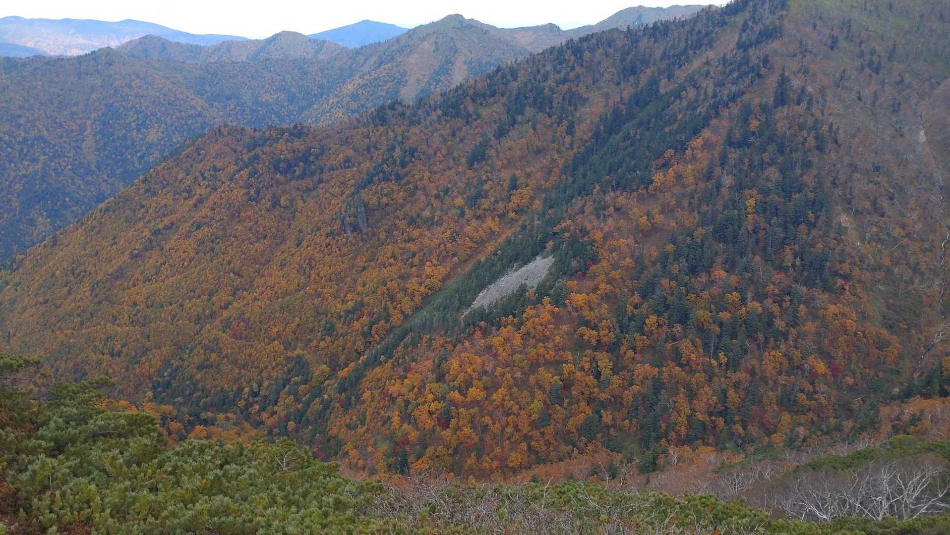 あんな山腹にあるガレ場はどうやってできるんだろう？🤔