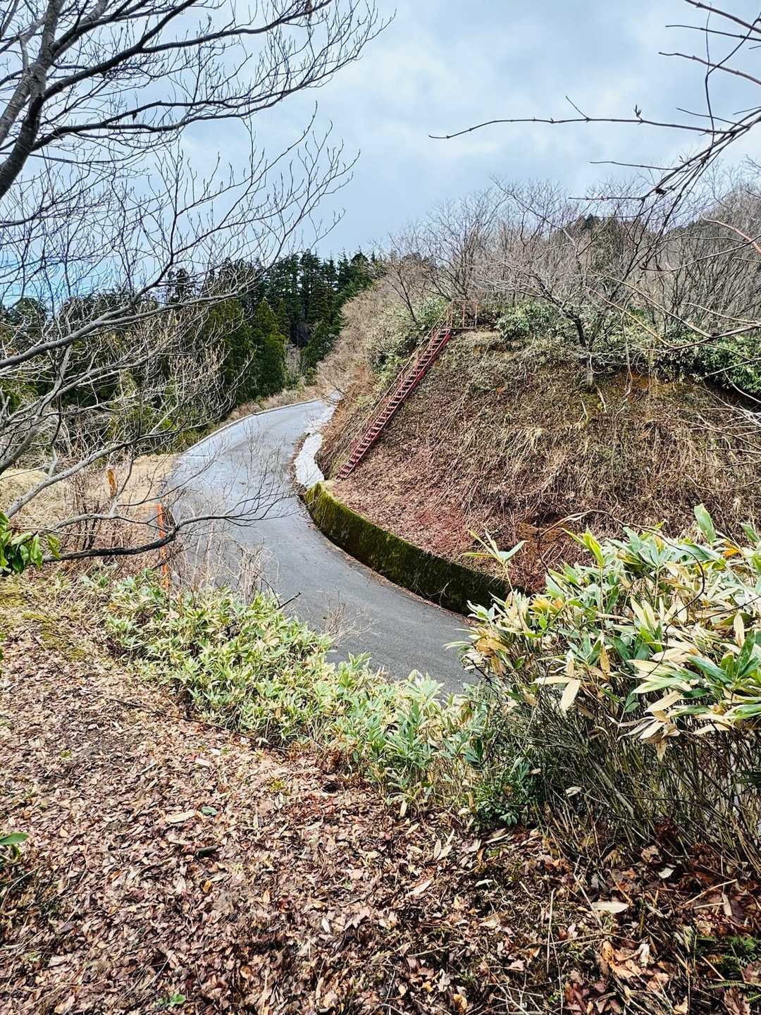 『赤い階段』😍
　降りてきた事あるけど
　下から登ってきて見るのは初めて🫰
感動した🥹
