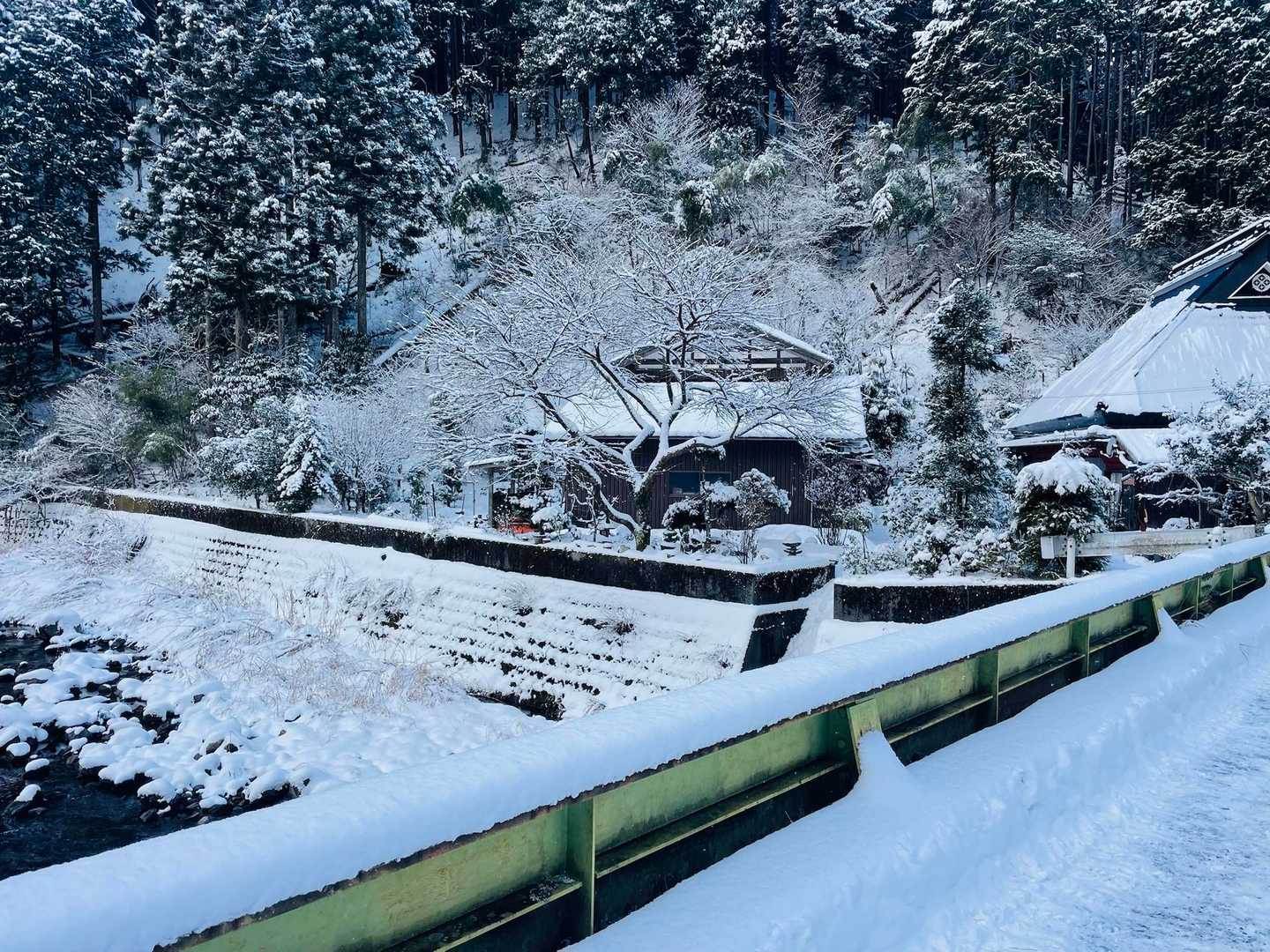 橋を渡ります🥾