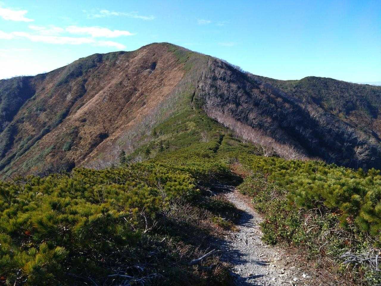 ようやくウエンシリ岳本峰が見えてきた。道は明瞭。あと少し。
