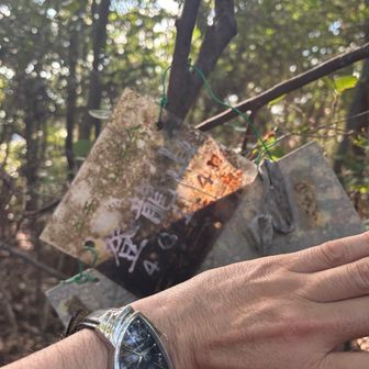 藪を抜けて、登龍山⛰️山頂到着🛬
蜘蛛の巣🕸️に絡まりますがぁ🤯