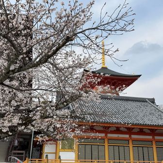 中山寺に下山しました