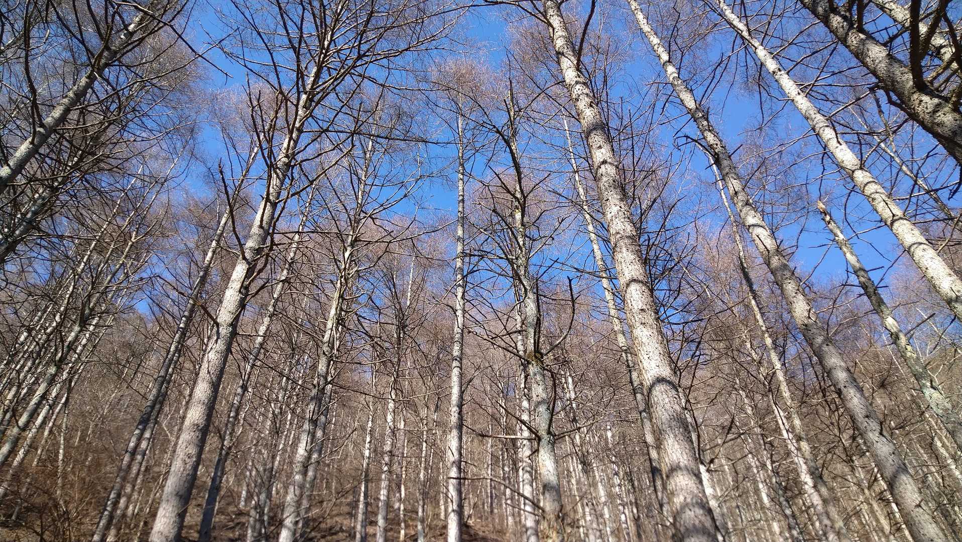 こんな景色も好き