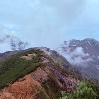 やっとこ種池山荘見えました🧐