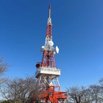 白いところまで階段でのほれる