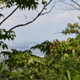 岩屋峠コース、PL塔