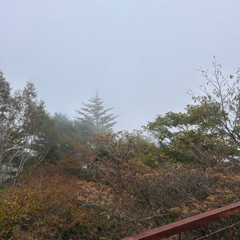 展望台に登ってみました。
