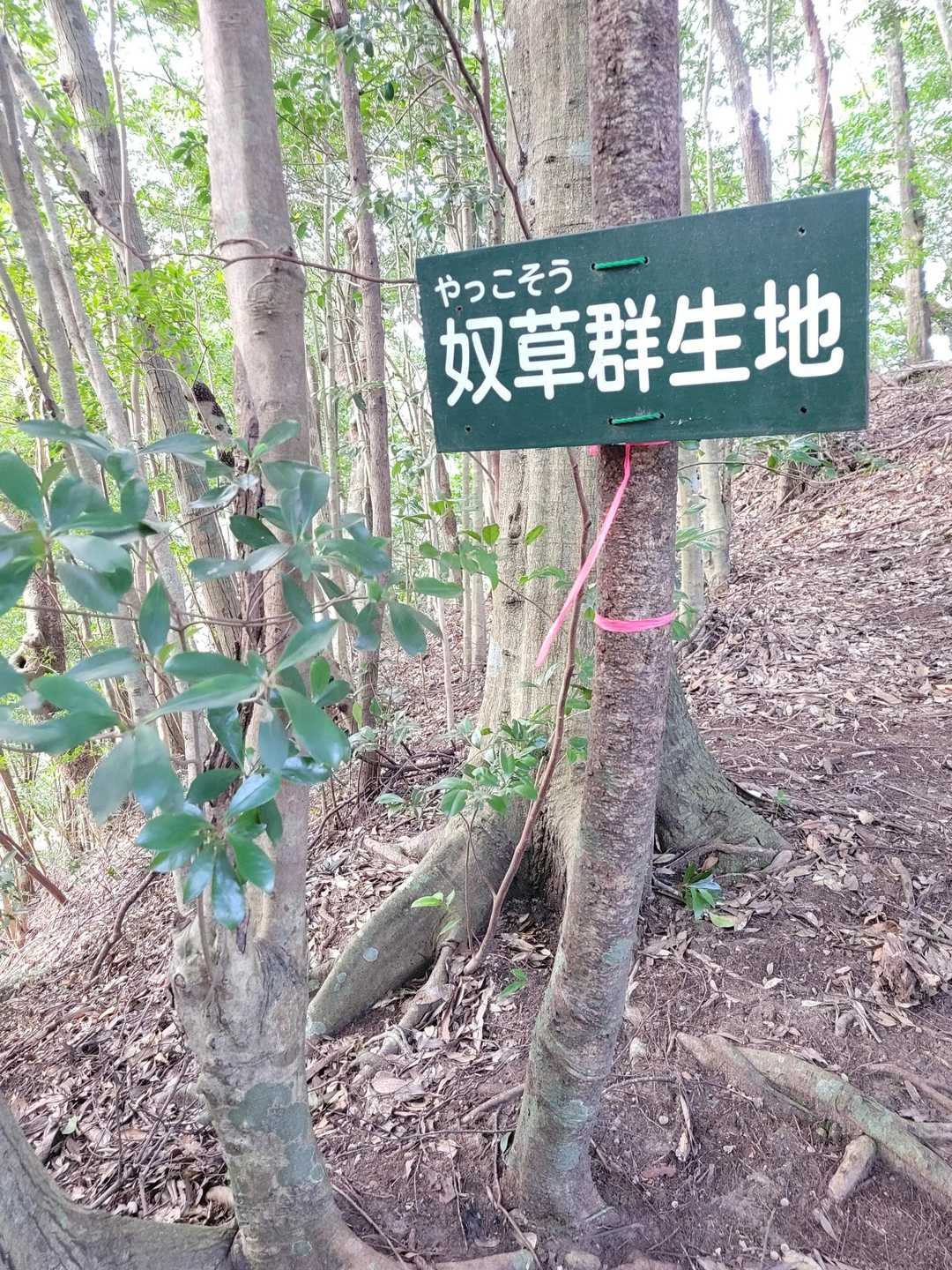 ここには看板がちゃんとある