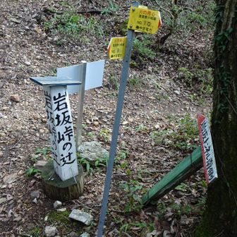 峠迄戻って来た
今日はここから岩坂トンネル横に下山。
