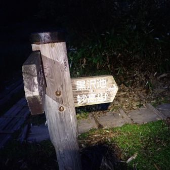 5時スタート
