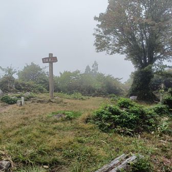 山頂広場は広いです