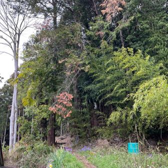 わかりにくい入口