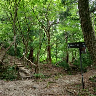 もうすぐ金糞峠、この橋を見ると安心する、
W橋は他に3ヶ所ある。大橋の所、ヨキトウゲ方面で二つ。ある意味、沢登ラーより沢好きかもWさん、