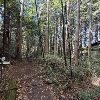 と思ったら唐岬登山口からの分岐地点