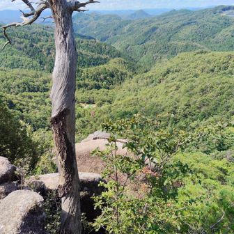振り返って見下ろすと 山々に囲まれた桃源郷の畑が見えた