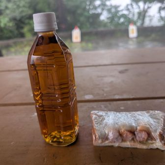 雨宿りしつつ、持参していたパンを食べました😋
ここで自分以外に4人の人に会いました。