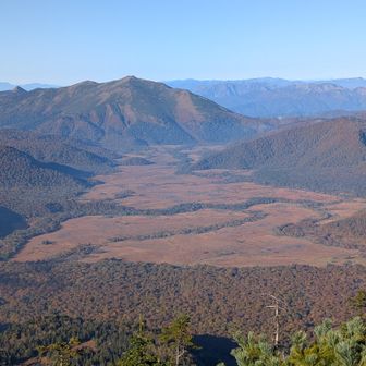 湿原を一望。至仏山も良く見える。