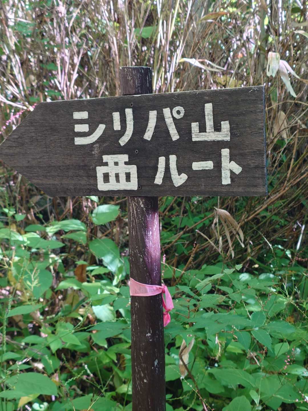 今日は西ルートから時計回りに進む