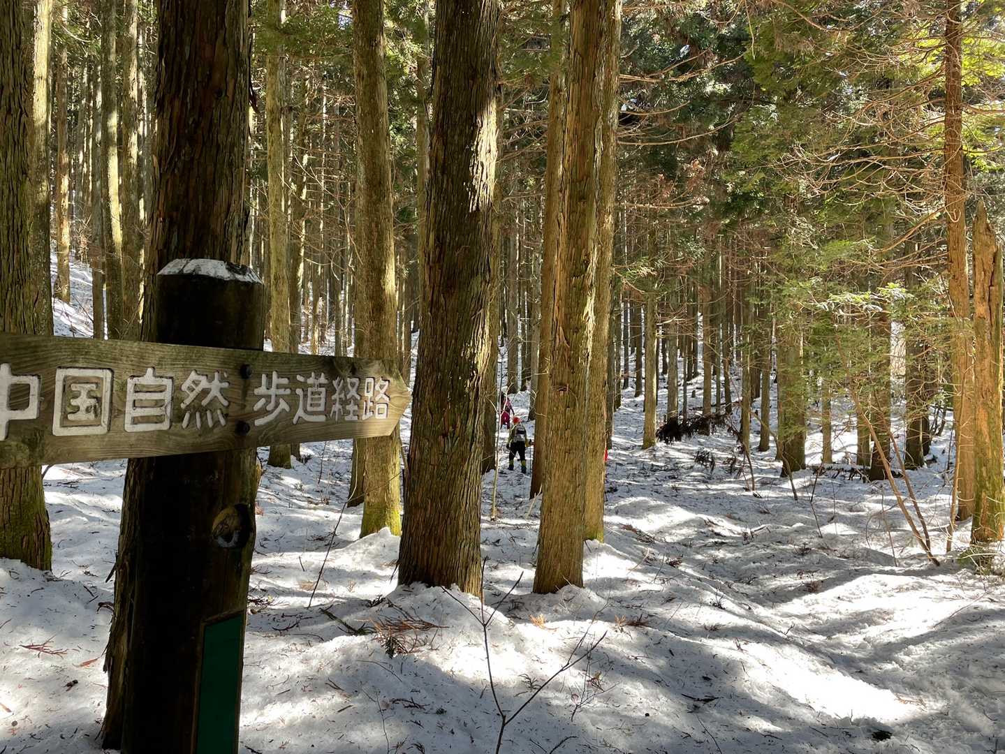 小羅漢山-羅漢山 往復コースの写真