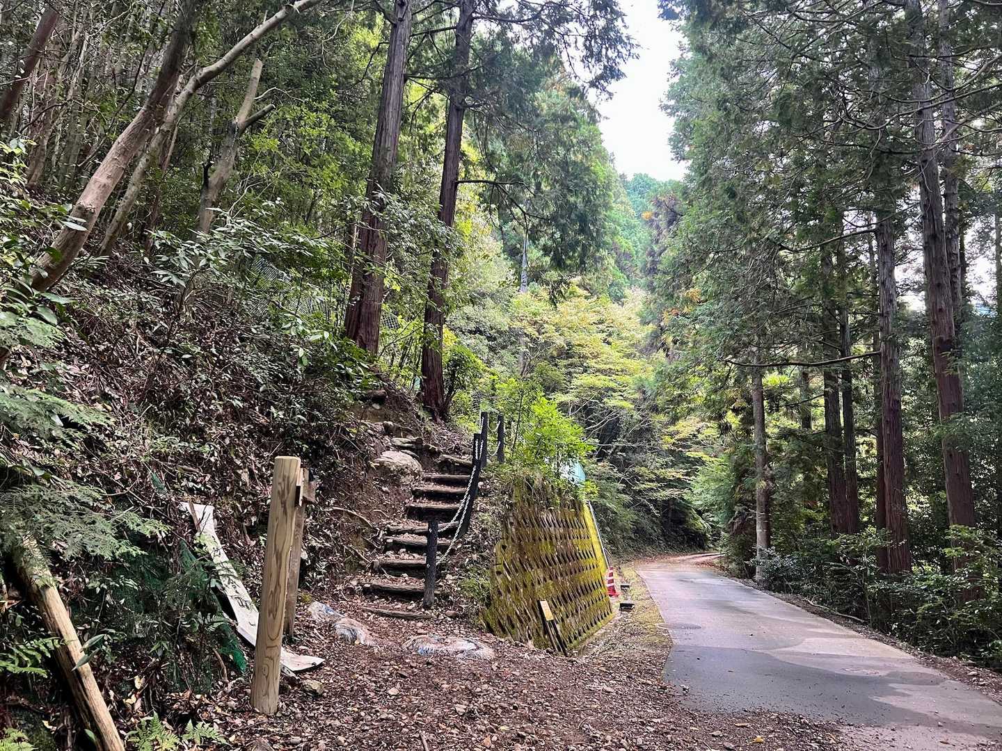 季節の変わり目に、ダイヤモンドトレールで岩湧山への写真